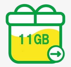 11GB◆mineo パケットギフトコード◆ ◆10GB超 ◆9999MB超