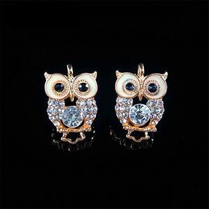 [2 piece set ] Mini owl charm Kirakira rhinestone earrings . luck 