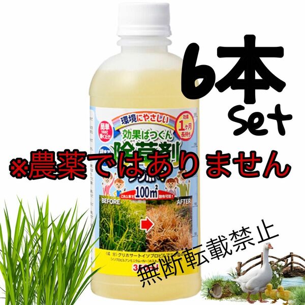 6本 除草剤 グリホ４ 350ml 環境にやさしい 効果ばつぐん