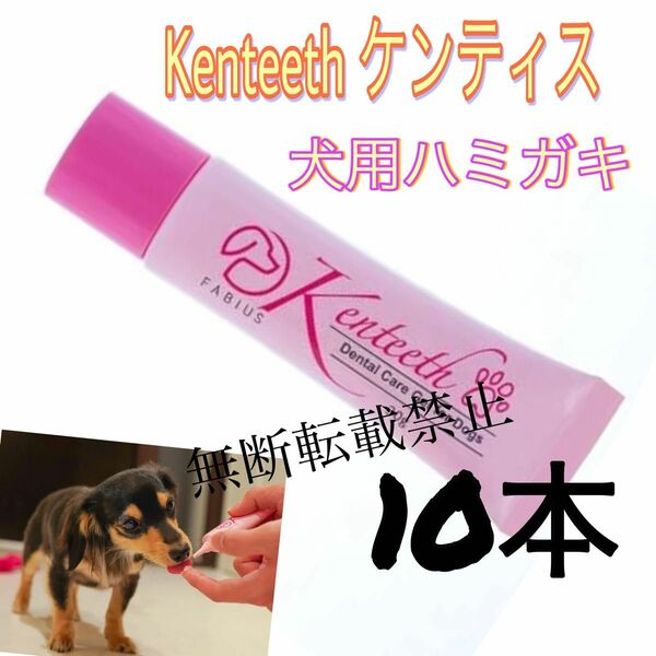 10本 ケンティス デンタルケアジェル 犬用歯磨き ハミガキ 30g