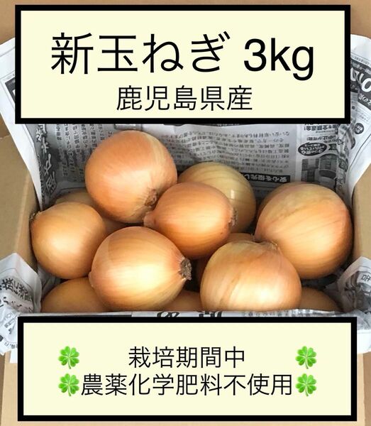 新玉ねぎ 七宝 3kg 栽培期間中農薬化学肥料不使用