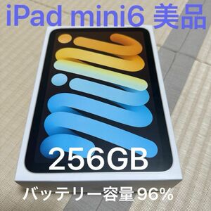 iPad mini6 256gb スターライト