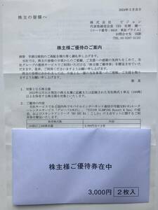 ビジョン　株主優待　3000円券2枚　グローバルWiFi　グランピング　KO SHI KA　　2025年3月31日まで