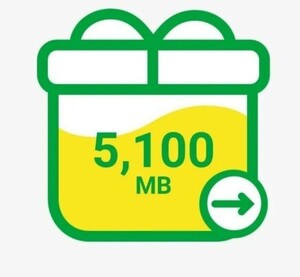 マイネオ mineo パケットギフト 5100MB