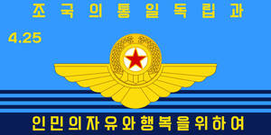 国旗 北朝鮮『朝鮮人民軍』(空軍)90cm×180cm 金日成 金正日 金正恩