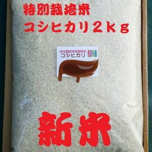 ◆新米◆[白米]特別栽培米コシヒカリ２ｋｇ有機肥料減農薬栽培