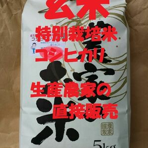 ◆新米◆[玄米]特別栽培米コシヒカリ５kg生産農家の直接販売