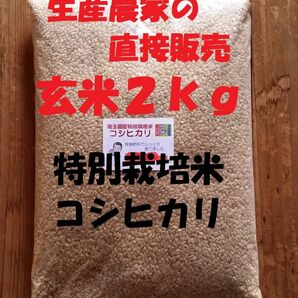 ◆新米◆[玄米]特別栽培米コシヒカリ２kg生産農家の直接販売