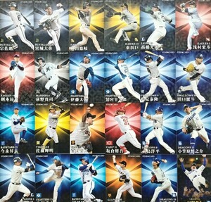 カルビー プロ野球チップス 2023 スターカード 24枚セット ダブりなし