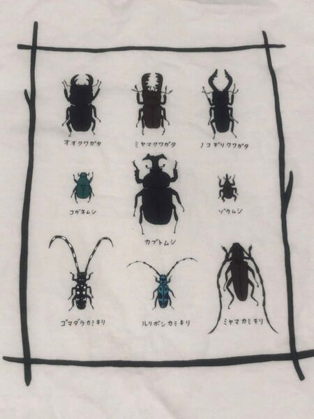mont-bell Tシャツ コットン100%