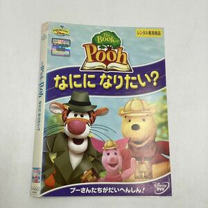 【C13】DVD ★The Book of Pooh なにになりたい？★レンタル落ち ※ケース無し