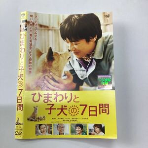【A6-52】DVD★ひまわりと子犬の7日間★レンタル落ち★ケース無し（13109）