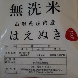 新米 令和5年産 無洗米　山形県庄内産　はえぬき　5kg