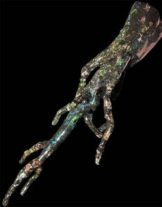 【博物館級】虹の木の根　オパール化した木の根の化石　珪化木オパール　大型標本　