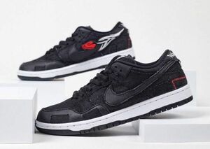 NIKE SB Dunk low wasted youth