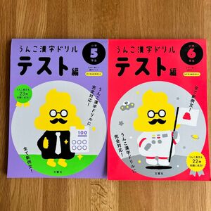 うんこ漢字ドリル　テスト編　小学5年生　小学6年生　2冊セット