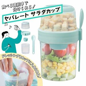 ◆送料無料(定形外)◆ クリアサラダポット 保存容器 ドレッシング容器付 ランチボックス フォーク付 弁当箱 ◇ セパレートサラダカップ