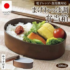 ◆送料無料(定形外)◆ 弁当箱 曲げわっぱ お弁当箱 日本製 和風 ランチボックス レンジ対応 食洗機対応 一段 ゴムバンド付 ◇ 弁当箱:小判