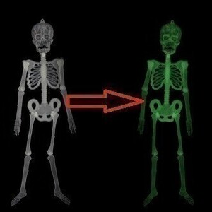 在庫限り ハロウィン 装飾 飾り スカル 骸骨 自由に関節を動かせる 蛍光 約30㎝ B181003