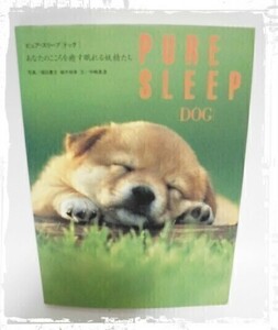 PURE SLEEP DOG 子犬 写真集 犬 ドッグ ペット B1420