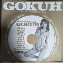 GOKUH Dr.ピカソ 付録DVD あいだゆあ みひろ 小田有紗 小澤マリア 持田茜 麻美ゆま 夏目ナナ 安藤沙耶香 _画像2