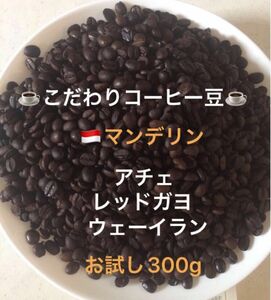 こだわりコーヒー豆　マンデリンアチェ　300g レッドガヨ　ウェーイラン　中深煎り　自家焙煎珈琲