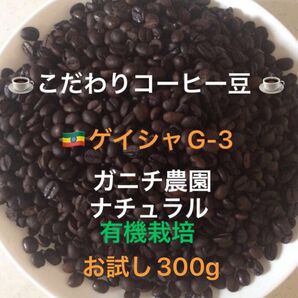 こだわりコーヒー豆　モカゲイシャG-3 300g 中深煎り　自家焙煎珈琲　ガニチ農園　有機栽培　ナチュラル