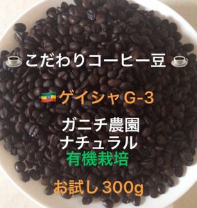 こだわりコーヒー豆　モカゲイシャG-3 300g 中深煎り　自家焙煎珈琲　ガニチ農園　有機栽培　ナチュラル