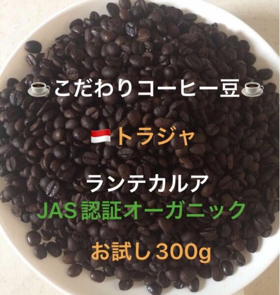 こだわりコーヒー豆　トラジャ　ランテカルア　300g 中深煎り　自家焙煎　スロトコ農園　JAS認証オーガニック
