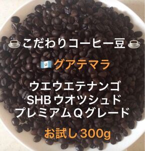 こだわりコーヒー豆　グアテマラSHB ウエウエテナンゴ　300g 中深煎り　自家焙煎珈琲　ウォッシュド　プレミアムQグレード