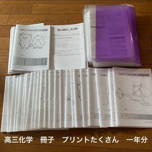 鉄緑会　高三　高3 教材　化学　飛松先生　水野先生　プリント　テキスト　授業冊子