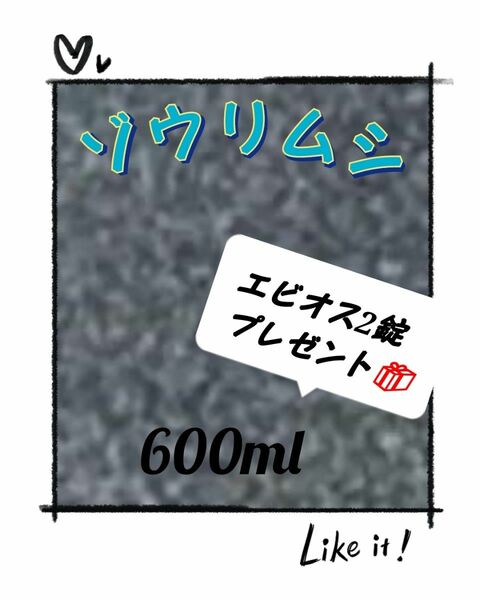 ゾウリムシ 600ml 培養 種水セット!!エビオスプレゼント