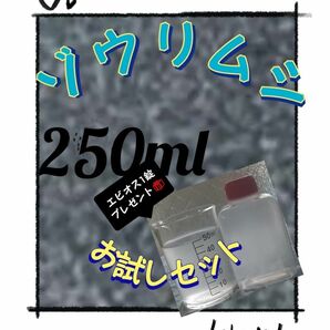 ゾウリムシ 250ml 培養 種水 お試しセット!!エビオスプレゼント