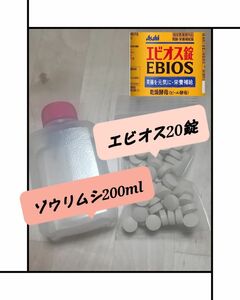 ゾウリムシ 200ml エビオス 20錠 培養 お試しセット