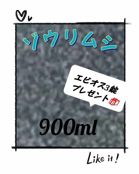 ゾウリムシ 900ml 培養 種水 お試しセット!!エビオスプレゼント