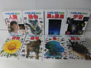 小学館の図鑑NEO 昆虫・動物・宇宙・星と星座・植物・魚・恐竜・人間　8冊セット　カバーなし　2003-2012年