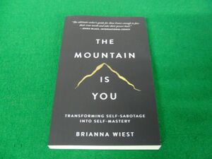 The Mountain Is You Transforming Self-Sabotage Into Self-Mastery by Brianna Wies 洋書