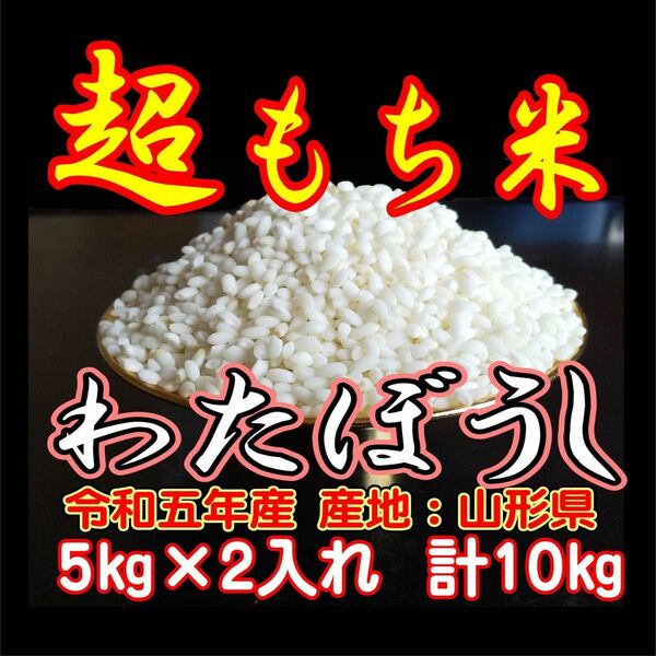 お米　もち米　１０ｋｇ　ふわふわお餅のわたぼうし!　令和5年産　お米