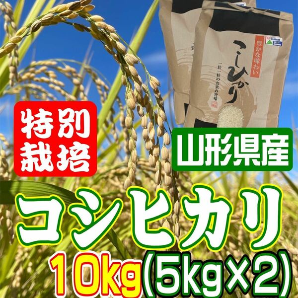 お米　コシヒカリ10kg 特別栽培米　山形県産　甘くてふっくら