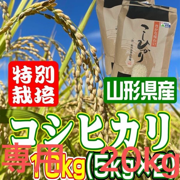 リピお米　コシヒカリ20kg 特別栽培米　山形県産　甘くてふっくら