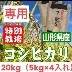 お米　コシヒカリ20kg 特別栽培米　山形県産　甘くてふっくら