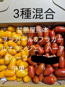 3種混合フラガールフラガールオランジェ千果ミニトマト1キロ