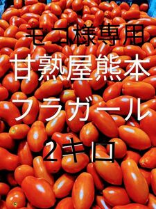 モコ様専用　ミニトマトフラガール2キロ