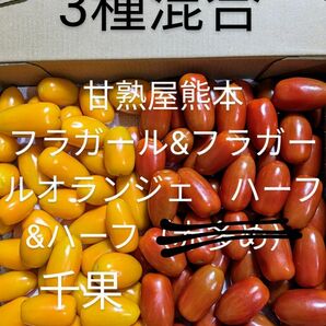 3種混合ミニトマトフラガールフラガールオランジェ千果1キロ