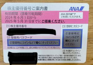ANA 株主優待 1枚 期限2024.6.1〜2025.5.31 送料無料