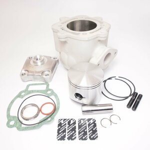 Malossi Cylinder 172 cc for GILERA PIAGGIO 125-180ccm 2T ジレラ Runner FX125 FXR180 Hexagon イタルジェット Dragster180 ボアアップ