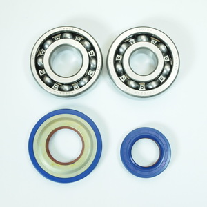 Polini Revision Kit crankshaft flywheel/clutch for Vespa ベスパ 50-125 スモールコーン用 クランクベアリング オイルシールセット