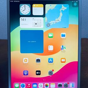 バッテリー良好 iPad Pro 10.5インチ 256GB WIFI モデル