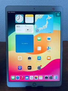 バッテリー良好 iPad Pro 10.5インチ 256GB WIFI モデル