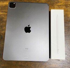 iPad Pro 11インチ　 128GB Wi-Fiモデル　第2世代　apple pencilセット スペースグレイ